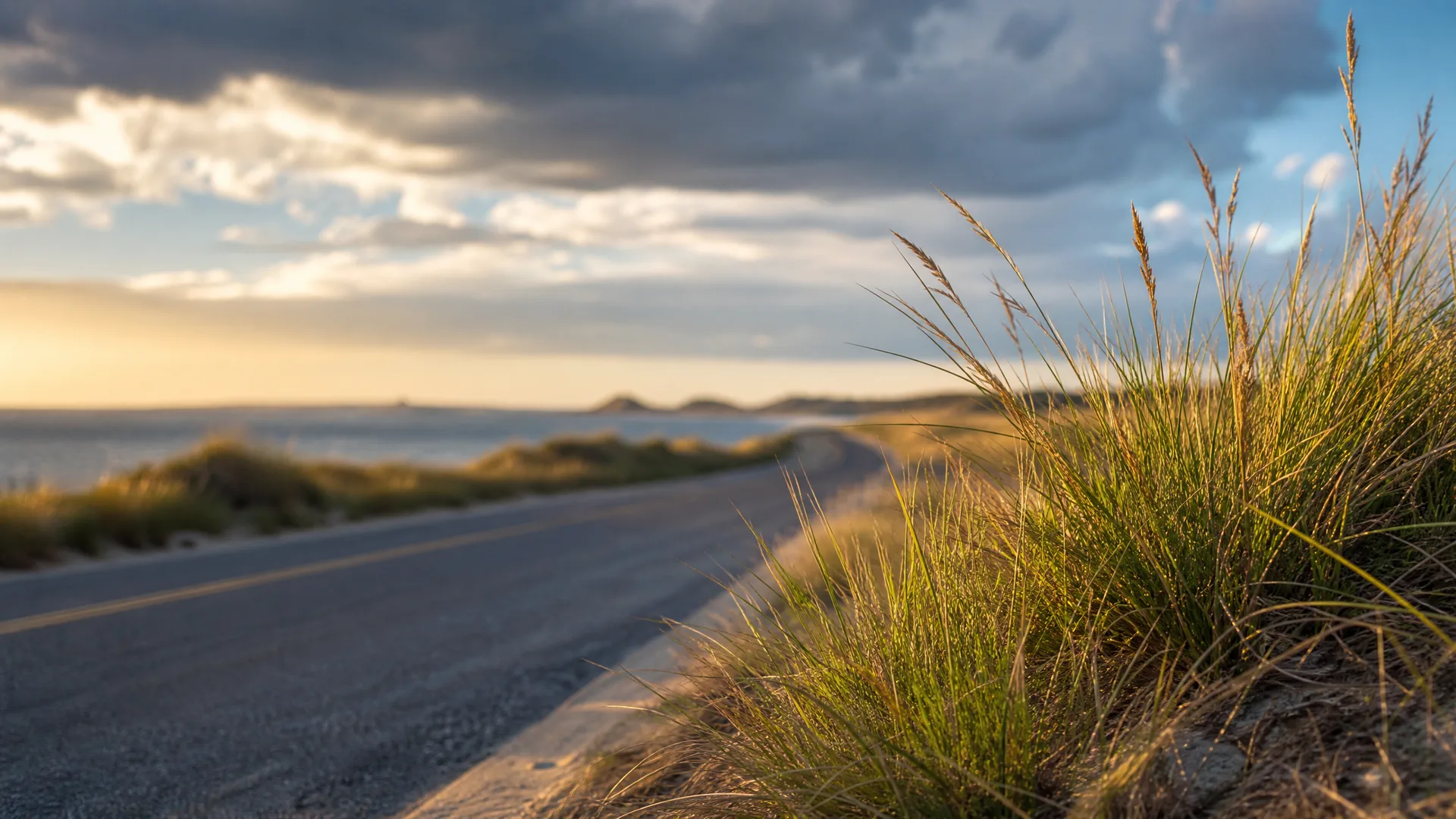 A two-lane asphalt road with a yellow center line curves along a coast, with sunlit dune grasses in sharp focus in the foreground and water, low hills, and clouds in the blurred background.